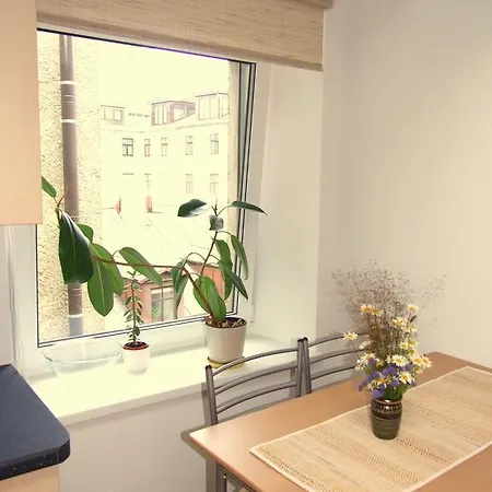 Sunny Loft Studio 아파트 *