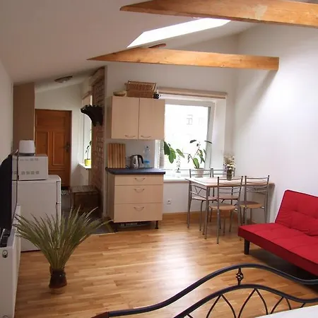 Sunny Loft Studio Apartamento